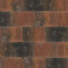 Abbeystones Zomerbont 20x30 cm premium bestratingsstenen voor tuin en openbare ruimte, 6 cm dik