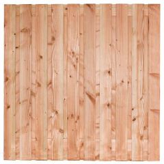 Douglas Lima 21 planks/16mm 180 x 180 Blank