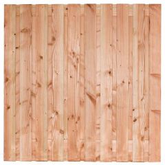 Douglas Lima 21 planks/16mm 180 x 180 Blank