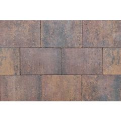 Straksteen 20x30x6 cm paars gv