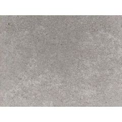 Traptrede 100x35x15 cm stone grey kleurecht met facet