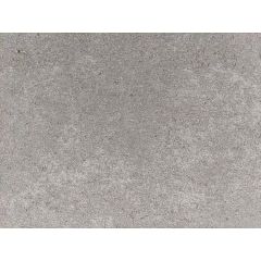 Traptrede 100x35x15 cm stone grey kleurecht met facet