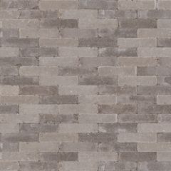 Abbeystones Certosa 5x20