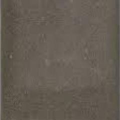 Betontegel Grijs 15x30