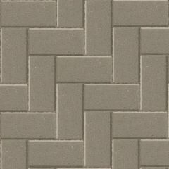 Betonstraatsteen Grijs 10.5x21