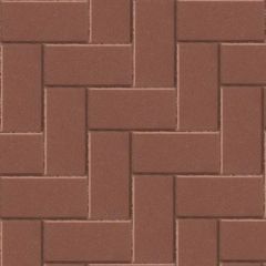 Betonstraatsteen Rood 10.5x21
