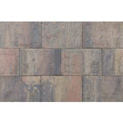 Straksteen 20x30x6 cm bruin gv