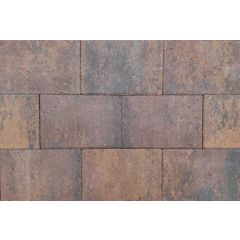 Straksteen 20x30x6 cm paars gv