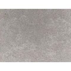 Traptrede 100x35x15 cm stone grey kleurecht met facet
